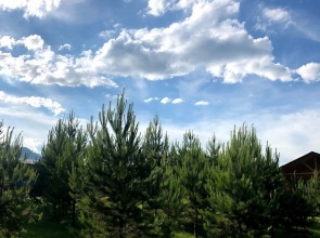 Гостевой дом Радость