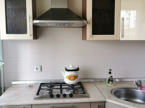 Квартира 1 комн. квартира в центре