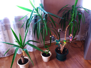 Гостевой дом В Залесном М7