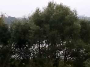 Гостевой Дом Родничок