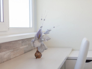 Апартаменты RentPlaza на Губернаторской