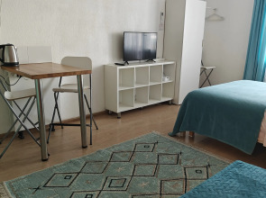 Студия Flamingo метро Ладожская