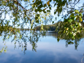 Отель База отдыха Заветное