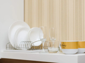 Апартаменты Козицкий переулок 1А (02)