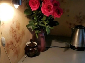 Квартира L.V.Hotels на Льва толстого 91