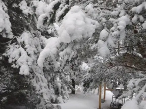 Частный дом Хитрый Лис 1