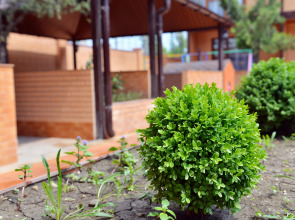 База отдыха Prohlada Inn Прохлада Инн