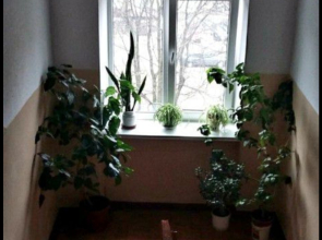 Апартаменты в самом центре Калининграда