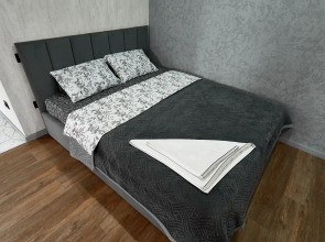 Апартаменты  Лофт-Студия на Масленникова 78