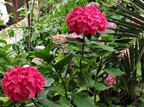 Гостевой дом Морская сказка