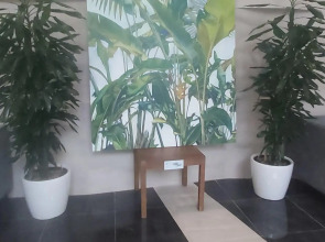 Апартаменты в Курорте Рядом с Финским Заливом