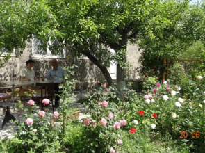 Хостел Artush & Raisa B&B