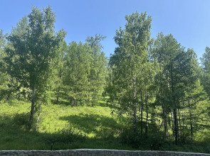 Апартаменты в ГЛК Солнечная Долина на 5 чел.