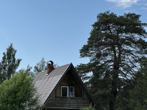 Гостевой дом Ладога Рядом