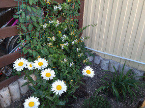 Гостевой дом Песчаный Берег