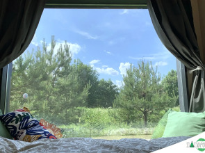 Глэмпинг Папоротник