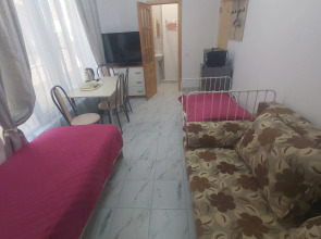 Жилое помещение Коттедж Алёнушка