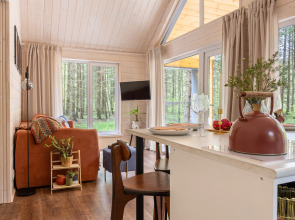 Частный дом в еловом лесу