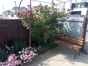 Гостевой дом Илим