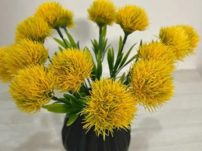 Апартаменты 1-комнатные с видом на Волгу (Бухта)