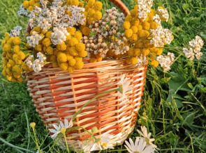 Частный дом в Снетково у озера