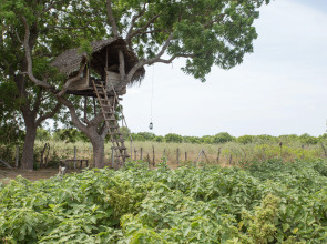 Отель Nilaveli Beach