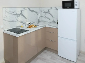 Квартира на Улице Академгородок 66