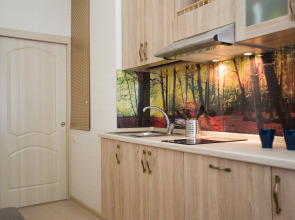 Апартаменты на Римского-Корсакова