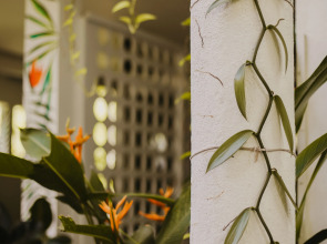 Отель Jungle Soul