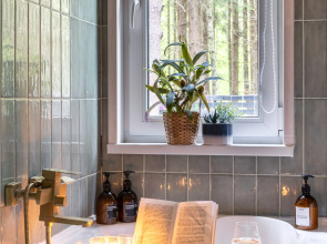 Частный дом в еловом лесу