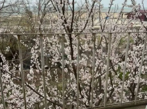 Квартира у набережной