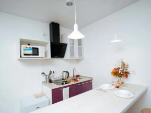 Апартаменты Студия Классическая С Современным Ремонтом на Курчатова