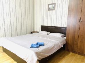 Апартаменты Central City Flat