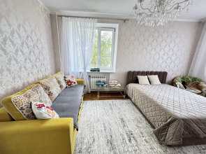 Апартаменты Центр 2к Сталинка