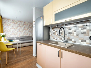 Апартаменты для 4 гостей у метро Купчино с Кондиционером