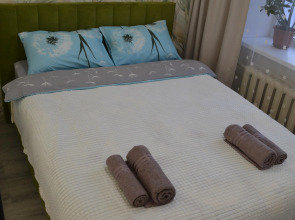 Квартира 1к рядом с Парком им.Кирова