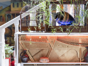 Хостел Elia Boutique & Apart-Hotel