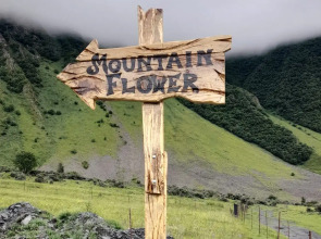 Вилла Mountain Flower cottage