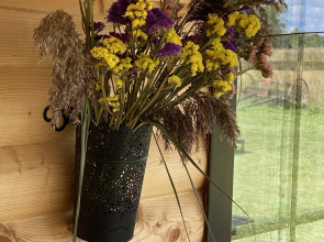 Апартаменты У лукоморья