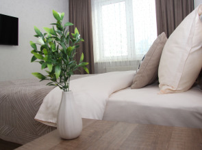 Апартаменты на Вильгельма де Геннина 47