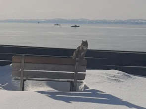 Гостевой дом Bay House Sakhalin