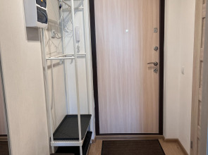 Студия Flamingo метро Ладожская