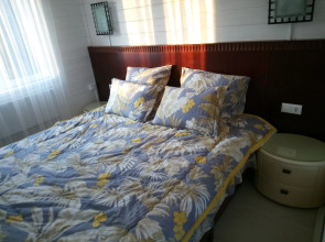 Гостевой дом Метелица