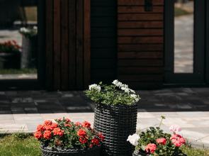 Гостевой дом дом в аренду в Беловежской пуще