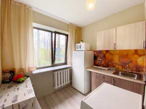 Апартаменты 1 комнатные на Кутузова 4