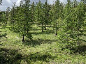 Апартаменты 722 в Business Residence