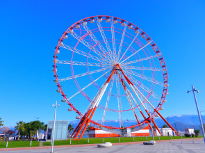 Апартаменты Mimino Deluxe First Line (K IV)