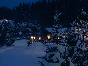 Отель Скоково парк