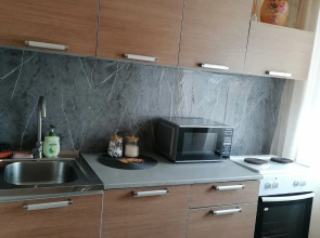 Квартира Просторная квартира в центре