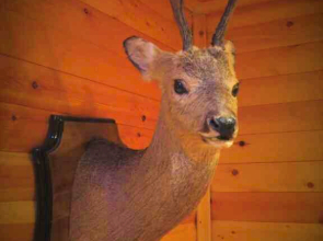 Частный дом с сауной и камином в центре Пятигорска